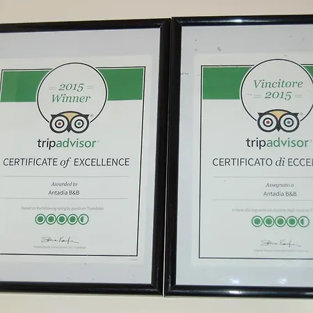 Guest house Antadia B&B 3*